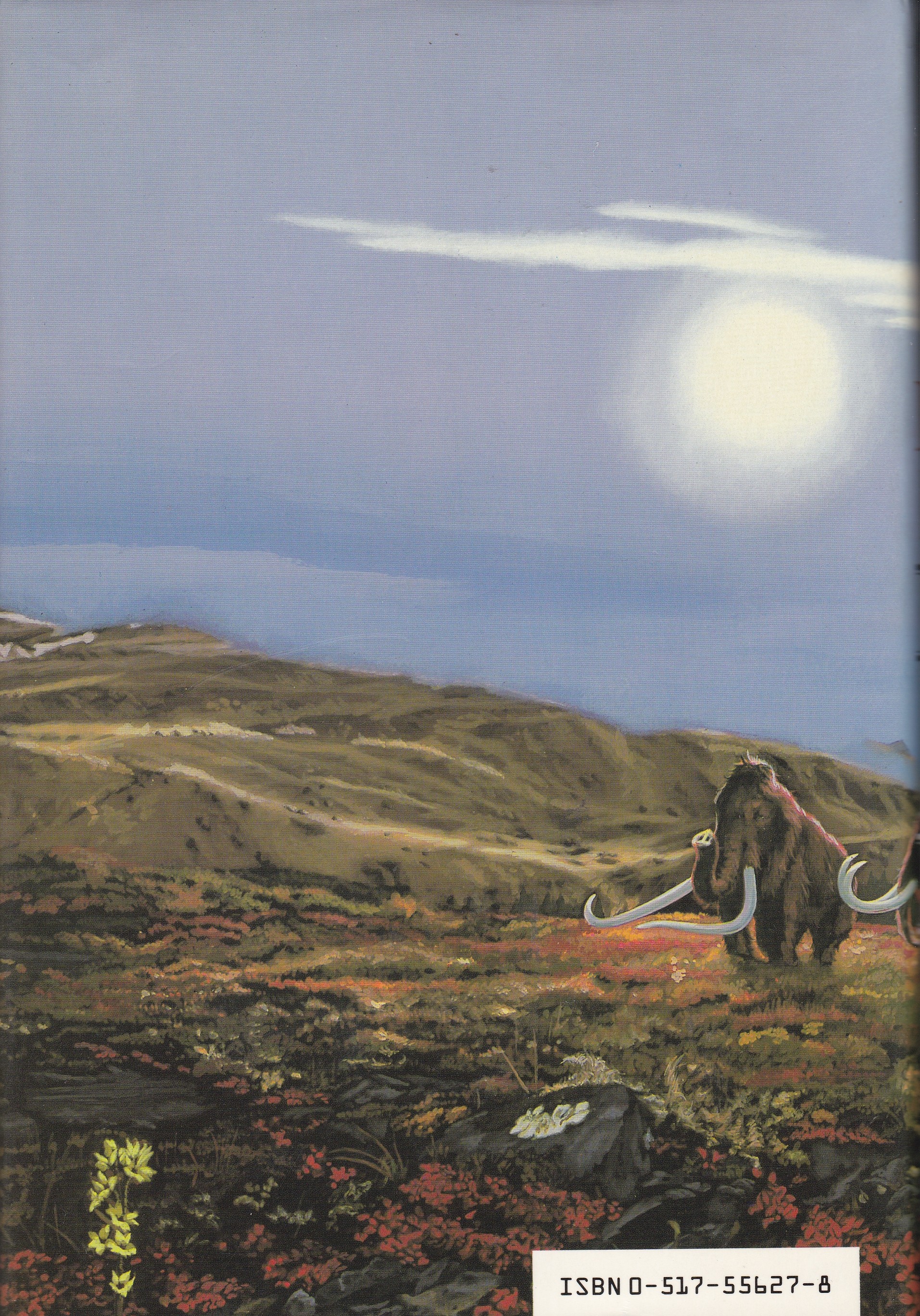 The Mammoth Hunters - Earth's Children 3
